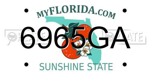 6965GA Florida License Plate