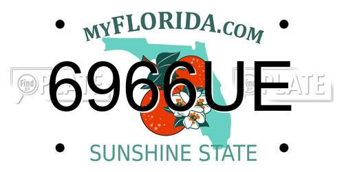 6966UE Florida License Plate