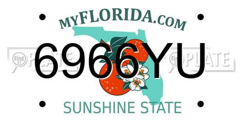 6966YU Florida License Plate