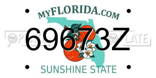69673Z Florida License Plate