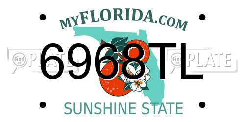 6968TL Florida License Plate