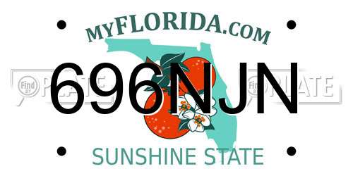 696NJN Florida License Plate