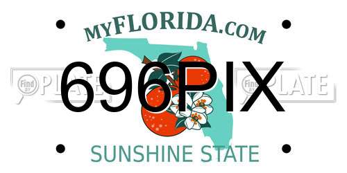 696PIX Florida License Plate