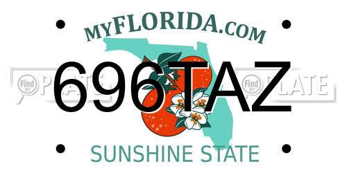 696TAZ Florida License Plate