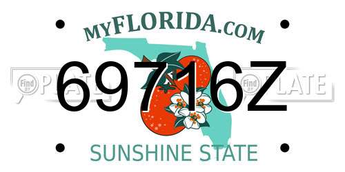 69716Z Florida License Plate