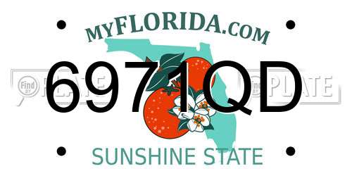 6971QD Florida License Plate