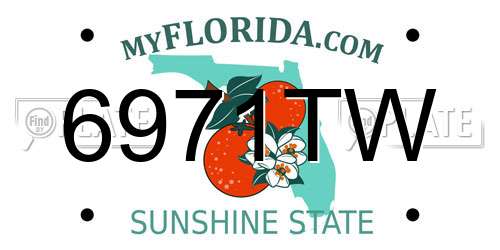 6971TW Florida License Plate