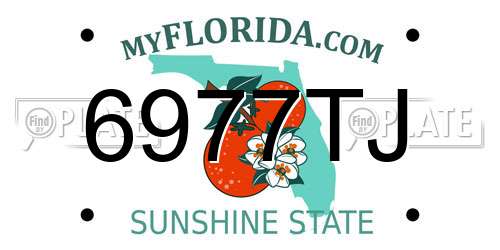 6977TJ Florida License Plate