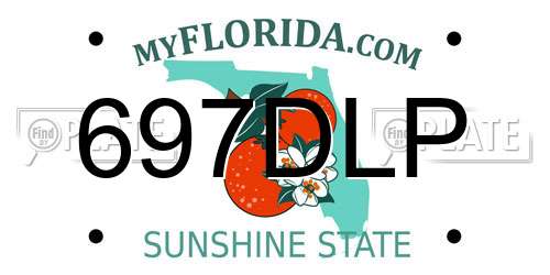 697DLP Florida License Plate