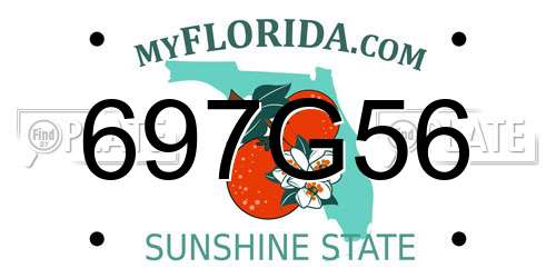 697G56 Florida License Plate
