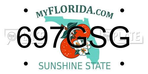 697GSG Florida License Plate
