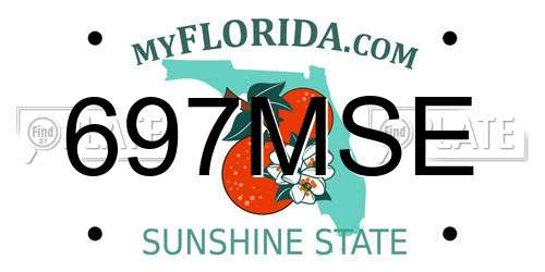 697MSE Florida License Plate