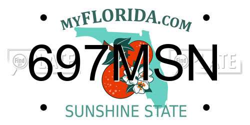 697MSN Florida License Plate