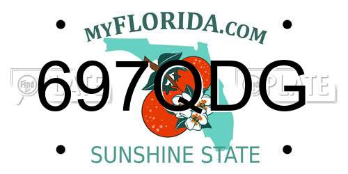 697QDG Florida License Plate