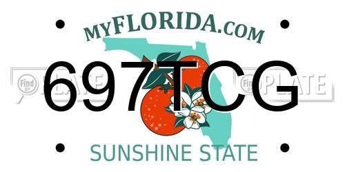 697TCG Florida License Plate