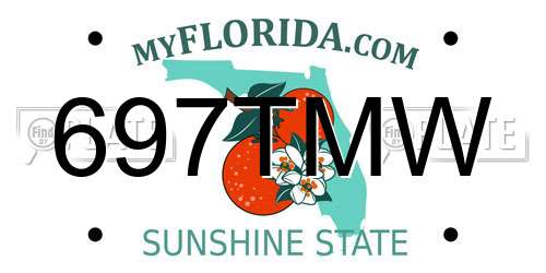 697TMW Florida License Plate