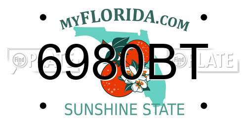 6980BT Florida License Plate