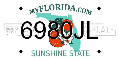 6980JL Florida License Plate