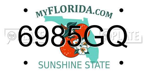 6985GQ Florida License Plate