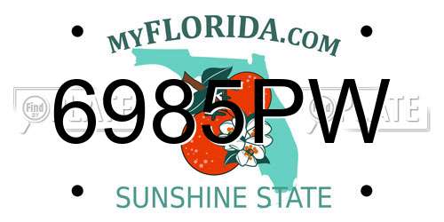 6985PW Florida License Plate