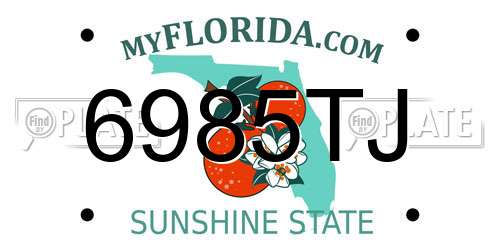 6985TJ Florida License Plate
