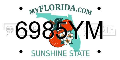 6985YM Florida License Plate