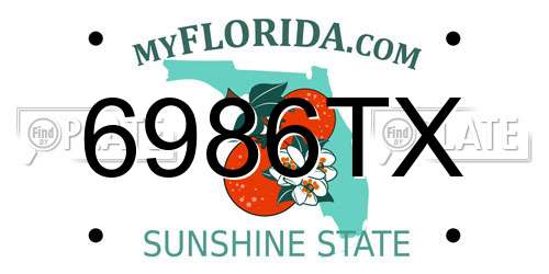 6986TX Florida License Plate