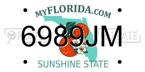 6989JM Florida License Plate