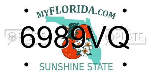 6989VQ Florida License Plate