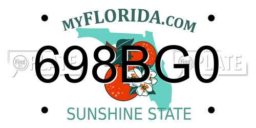698BG0 Florida License Plate