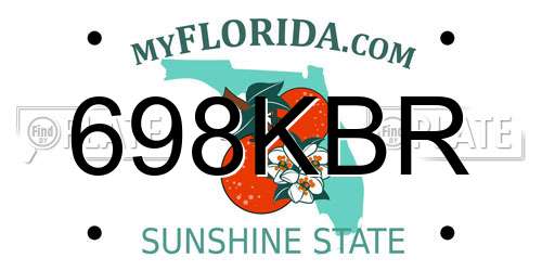 698KBR Florida License Plate