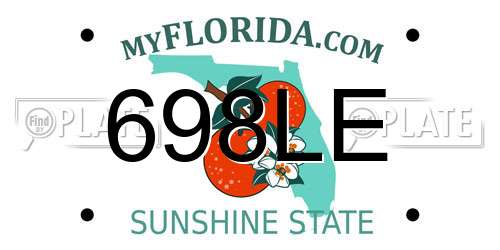 698LE Florida License Plate