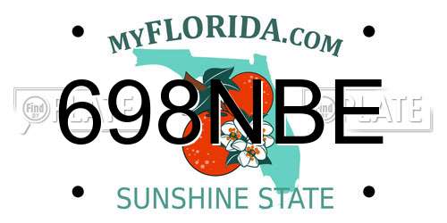698NBE Florida License Plate