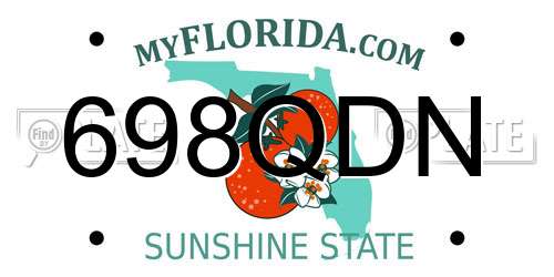 698QDN Florida License Plate
