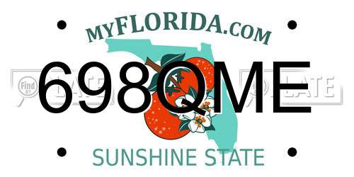 698QME Florida License Plate