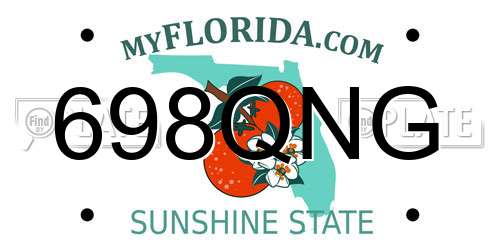 698QNG Florida License Plate