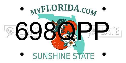 698QPP Florida License Plate