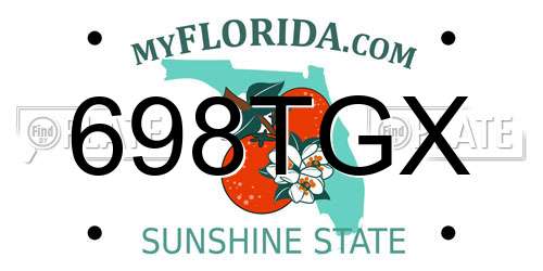 698TGX Florida License Plate