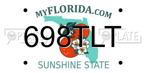 698TLT Florida License Plate