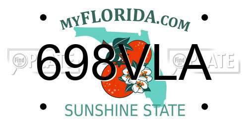 698VLA Florida License Plate