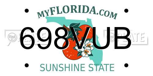 698VUB Florida License Plate
