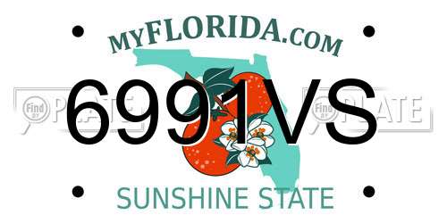 6991VS Florida License Plate