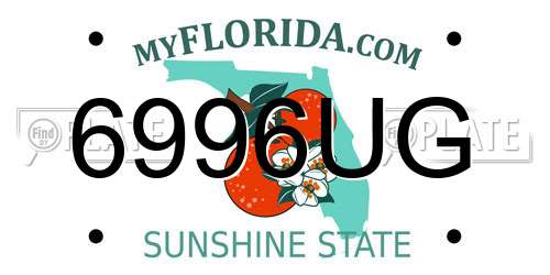 6996UG Florida License Plate