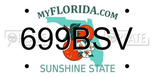 699BSV Florida License Plate
