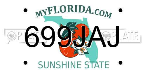 699JAJ Florida License Plate