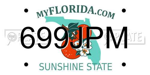 699JPM Florida License Plate