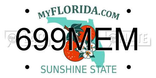 699MEM Florida License Plate