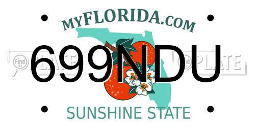 699NDU Florida License Plate