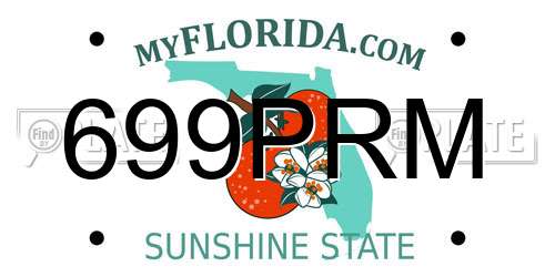 699PRM Florida License Plate