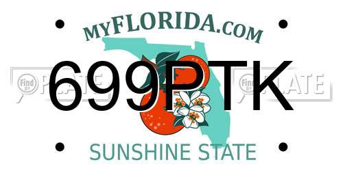 699PTK Florida License Plate